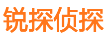 湖滨调查公司